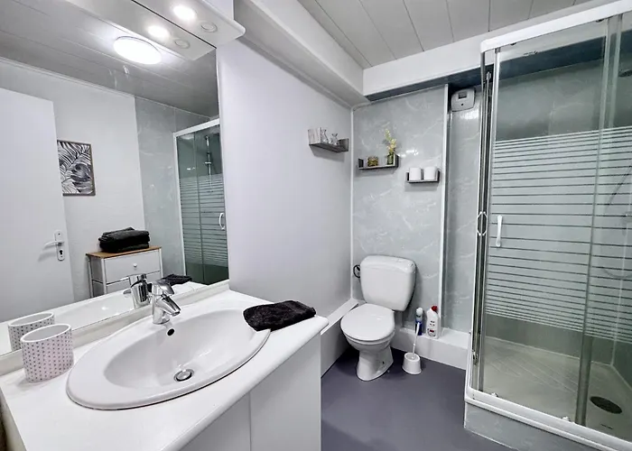 Nid Des Puys - 2 - Terrasse - Balcon - Parking - Clim Apartament Châtel-Guyon