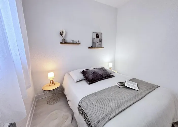 Nid Des Puys - 2 - Terrasse - Balcon - Parking - Clim Châtel-Guyon