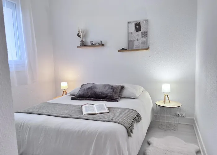 Nid Des Puys - 2 - Terrasse - Balcon - Parking - Clim